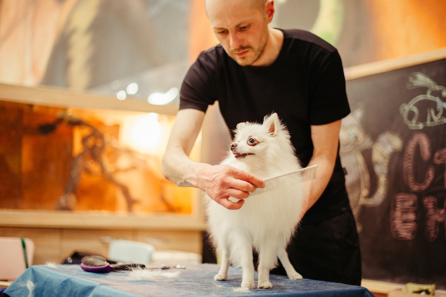 5 Signs Your Dog Needs a Grooming Session